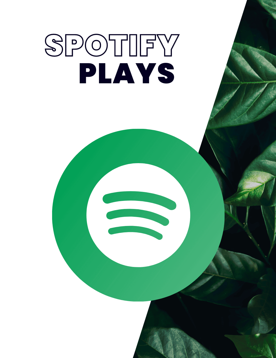 Grow Spotify Profile and Plays